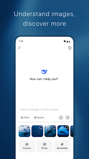DeepSeek - AI Assistant screenshot