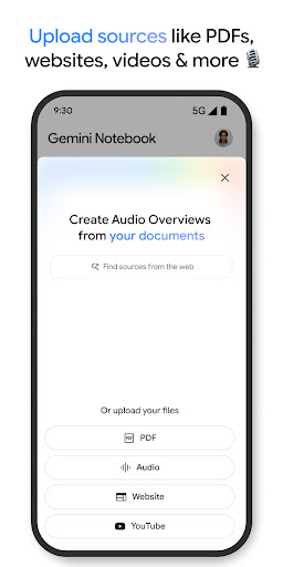 Gemini Notebook screenshot