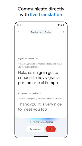 Google Translate screenshot
