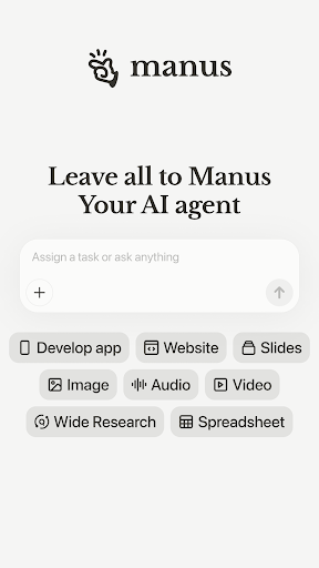 Manus AI screenshot